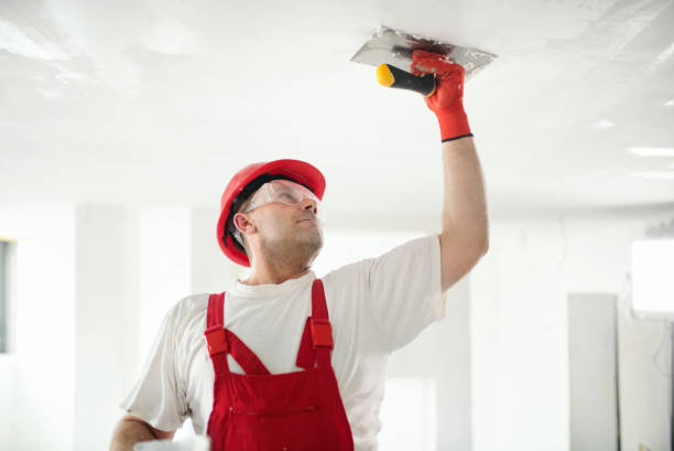Best Biohazard Mold Removal  in Kensington, CT