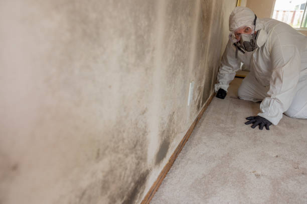 Best Emergency Mold Remediation  in Kensington, CT